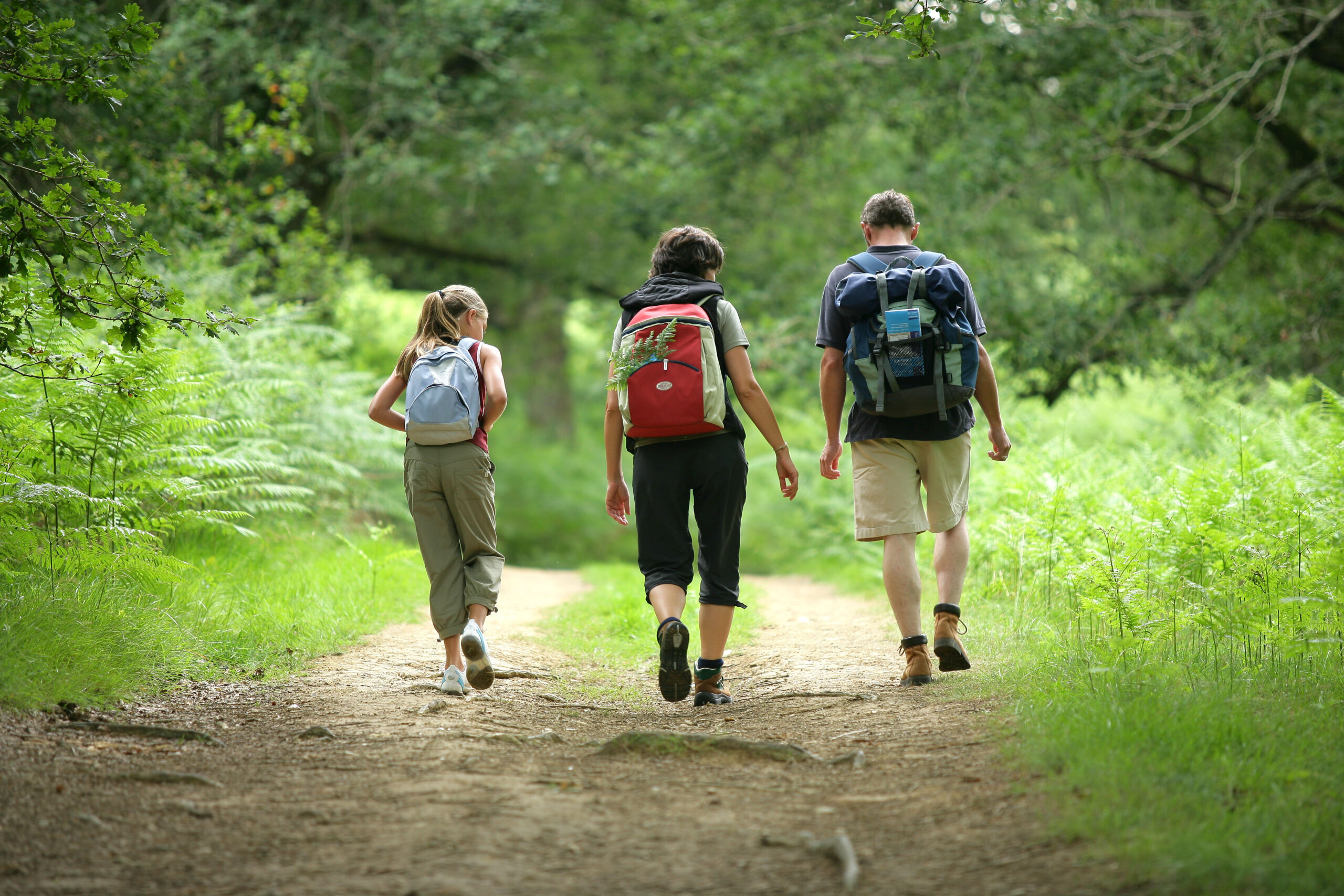 sortie pleine nature esprit nature